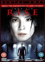  Online DVD Rental