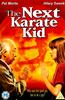 The Next Karate Kid Online DVD Rental