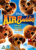  Online DVD Rental