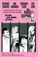  Online DVD Rental