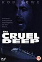  Online DVD Rental