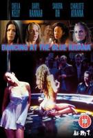  Online DVD Rental