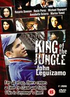  Online DVD Rental