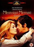  Online DVD Rental