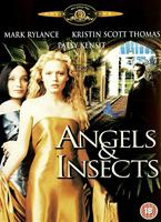  Online DVD Rental
