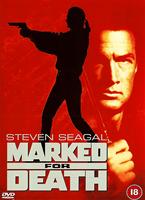  Online DVD Rental