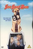 See Spot Run Online DVD Rental