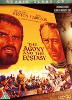  Online DVD Rental