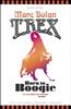 T-Rex: Born to Boogie Online DVD Rental
