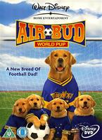  Online DVD Rental