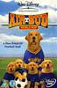 Airbud: World Pup Online DVD Rental