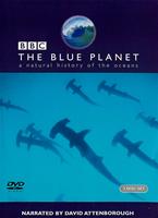  Online DVD Rental