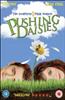 Pushing Daisies: Season 1 Online DVD Rental