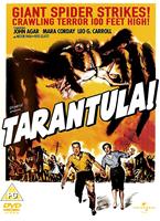  Online DVD Rental
