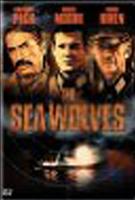  Online DVD Rental