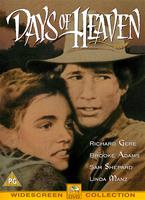  Online DVD Rental