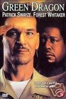  Online DVD Rental