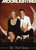  Online DVD Rental