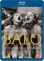  Online DVD Rental