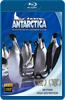 Imax: Antarctica: An Adventure of a Different Nature (BLU-RAY) Online DVD Rental