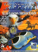 Understanding Islam: The Names of Allah Online DVD Rental