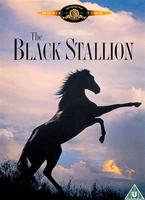 The Black Stallion Online DVD Rental