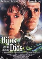  Online DVD Rental