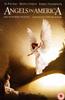 Angels in America Online DVD Rental