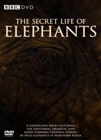 Secret Life of Elephants Online DVD Rental