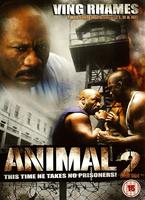  Online DVD Rental