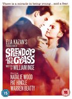 Splendor in the Grass Online DVD Rental
