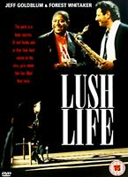  Online DVD Rental
