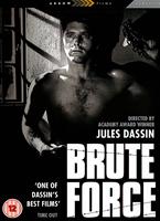  Online DVD Rental