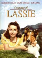 Courage of Lassie Online DVD Rental