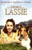 Courage of Lassie Online DVD Rental
