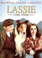 Lassie Come Home Online DVD Rental