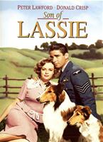 Son of Lassie Online DVD Rental