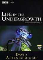 Life In The Undergrowth Online DVD Rental