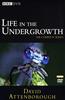 Life in the Undergrowth Online DVD Rental