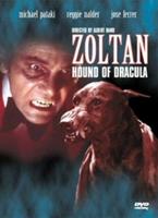  Online DVD Rental