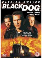  Online DVD Rental