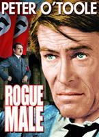 Online DVD Rental