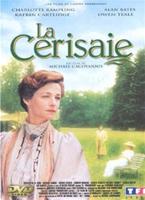  Online DVD Rental