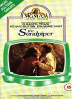  Online DVD Rental