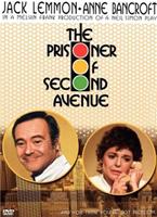  Online DVD Rental