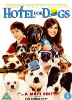  Online DVD Rental