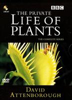 The Private Life Of Plants Online DVD Rental