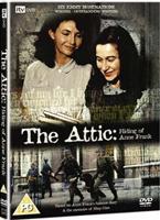  Online DVD Rental