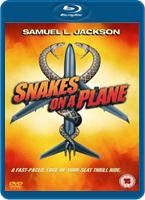  Online DVD Rental