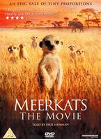  Online DVD Rental